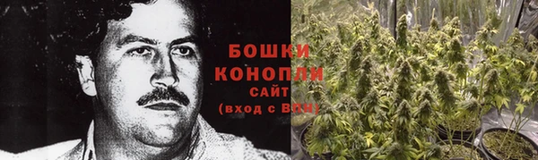mdpv Белокуриха