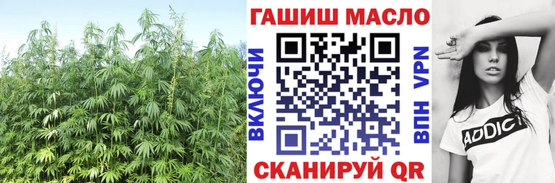 Дистиллят ТГК THC oil  мега сайт  Горно-Алтайск 